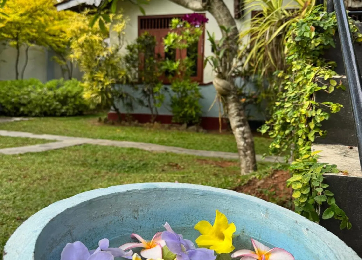 Bed and Breakfast Royal Breeze Negombo